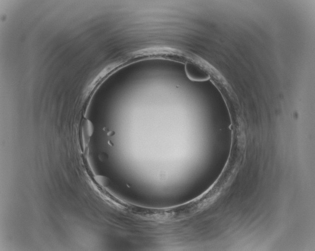 X0000080200937200612081424