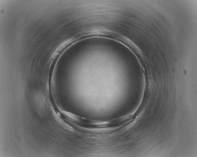 X0000080200938200612081424