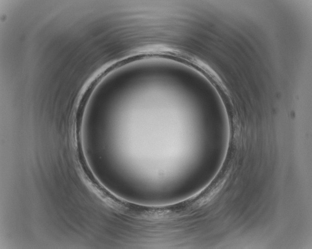 X0000080200939200612081424