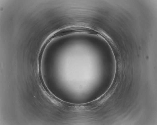 X0000080200940200612081424