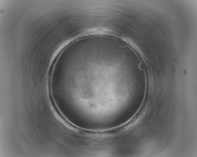 X0000080200941200612081424