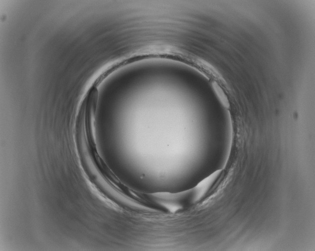 X0000080200942200612081424