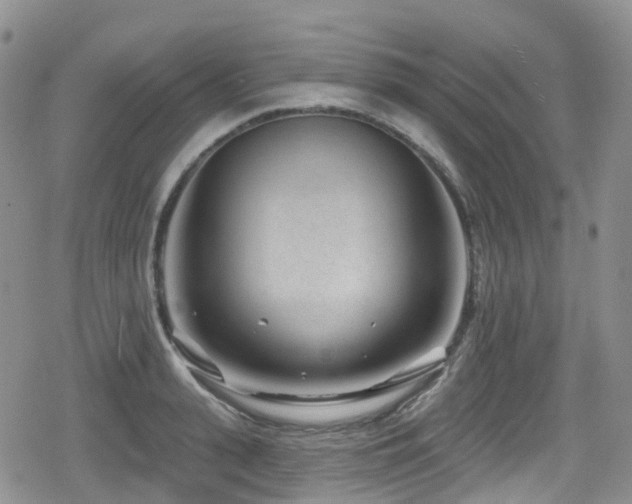 X0000080200943200612081424