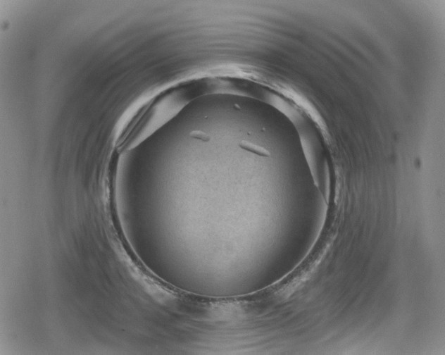 X0000080200944200612081424