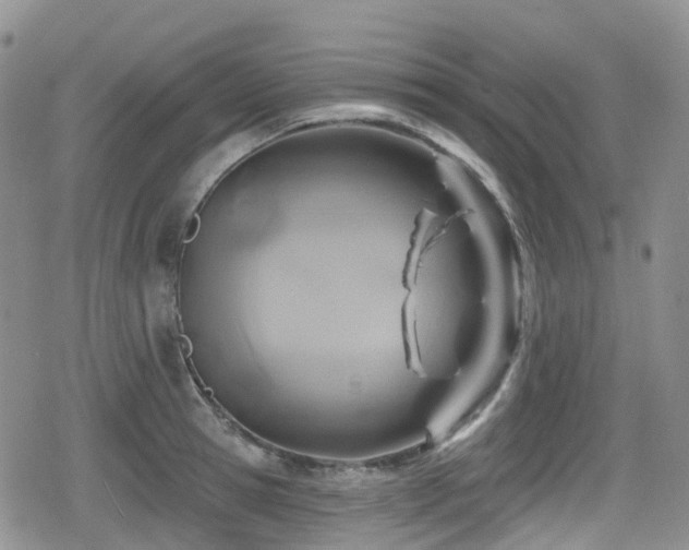 X0000080200945200612081424