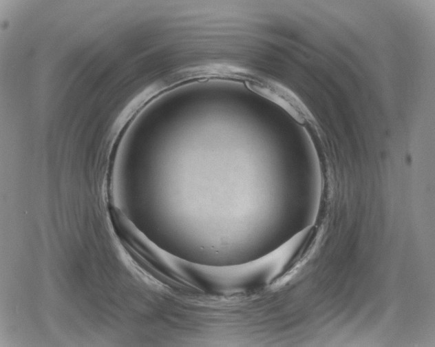 X0000080200946200612081424