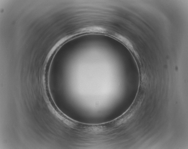 X0000080200947200612081424