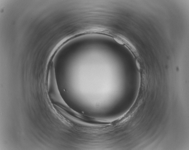 X0000080200948200612081424