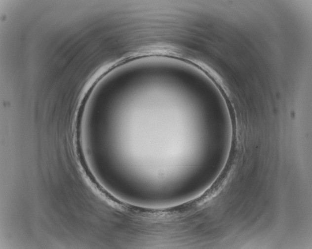 X0000080200949200612081424