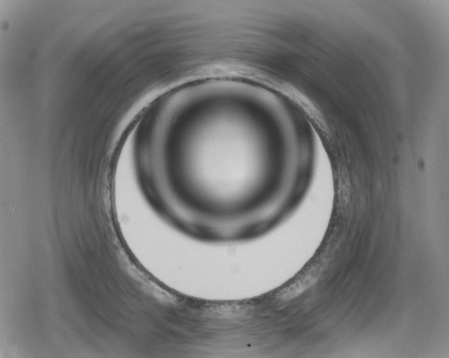 X0000080200950200612081424