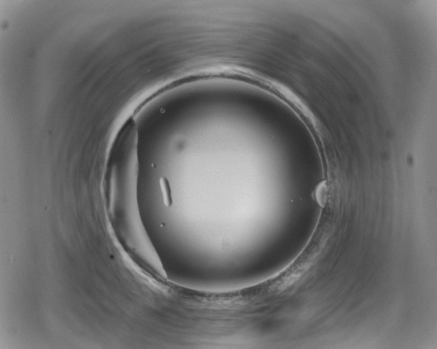 X0000080200951200612081424