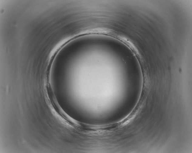 X0000080200952200612081424