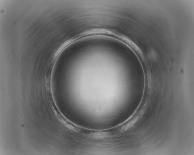 X0000080200953200612081424