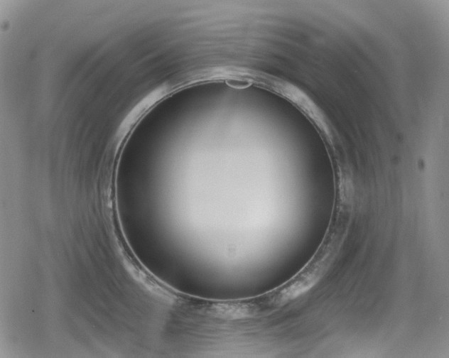 X0000080200954200612081424