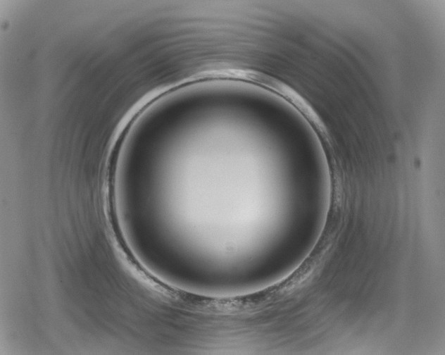 X0000080200955200612081424