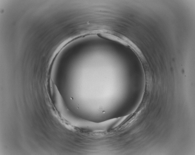 X0000080200956200612081424