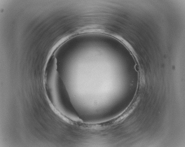 X0000080200957200612081424