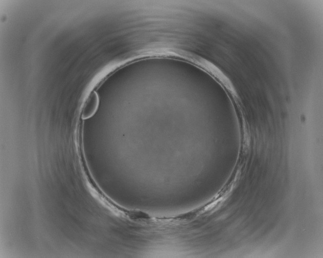 X0000080200958200612081424