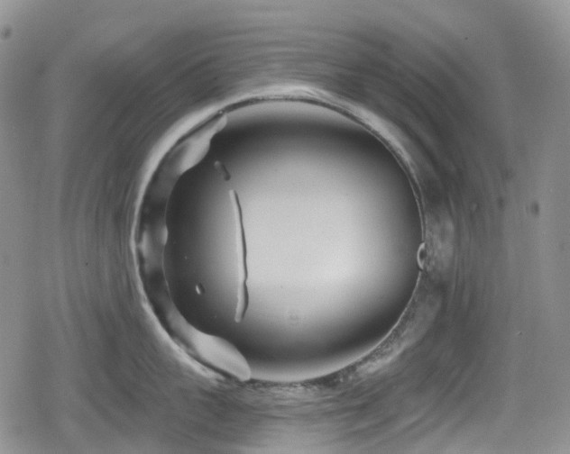 X0000080200959200612081424