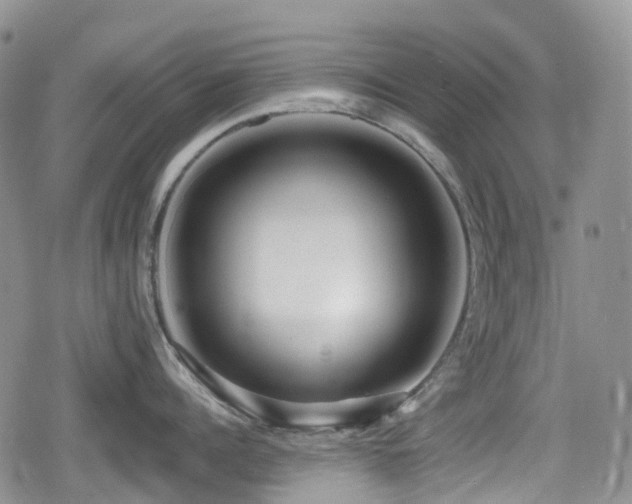 X0000080200960200612081424