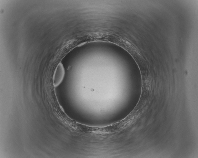 X0000080200961200612081423