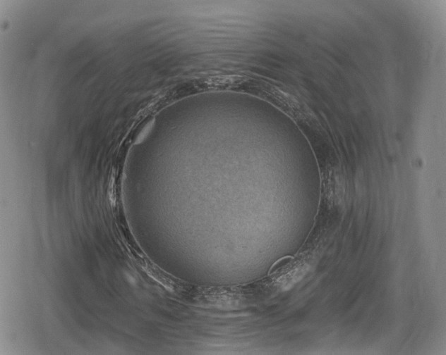 X0000080200962200612081423