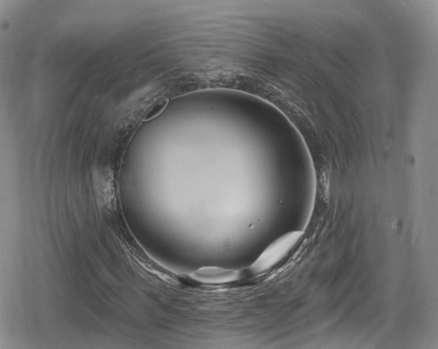 X0000080200963200612081423