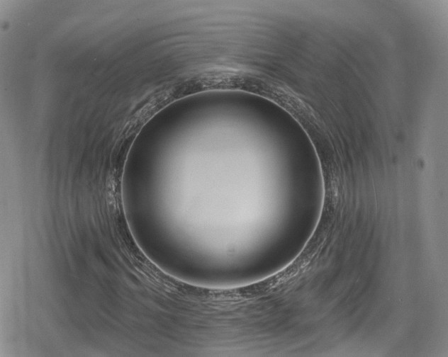 X0000080200964200612081423