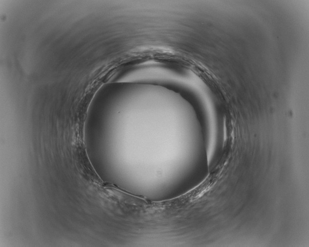 X0000080200965200612081423