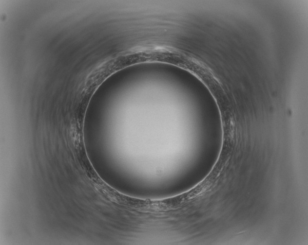 X0000080200966200612081423