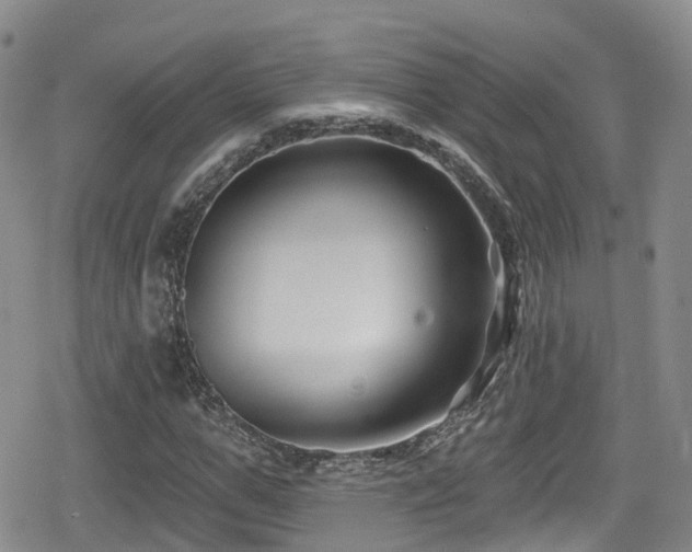 X0000080200967200612081423