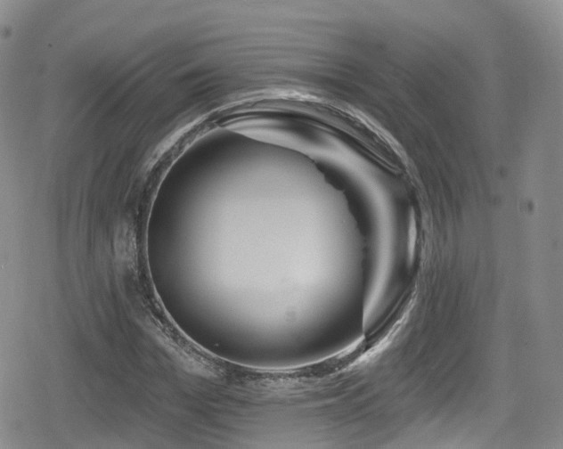 X0000080200969200612081423