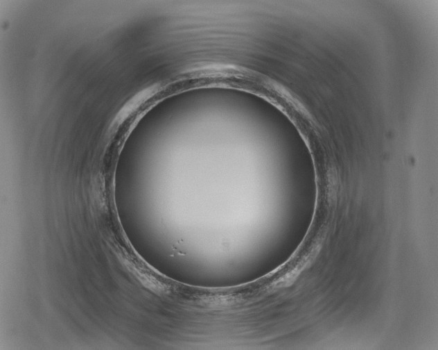 X0000080200970200612081423