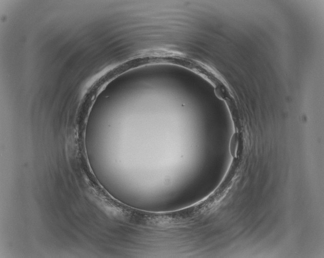 X0000080200971200612081423