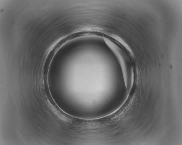 X0000080200972200612081423