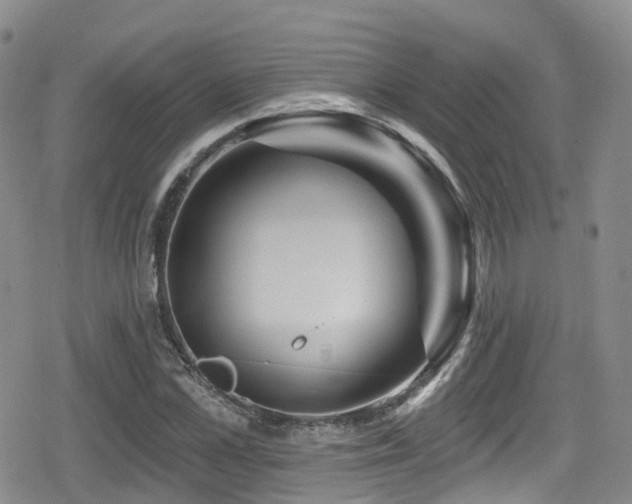 X0000080200973200612081423