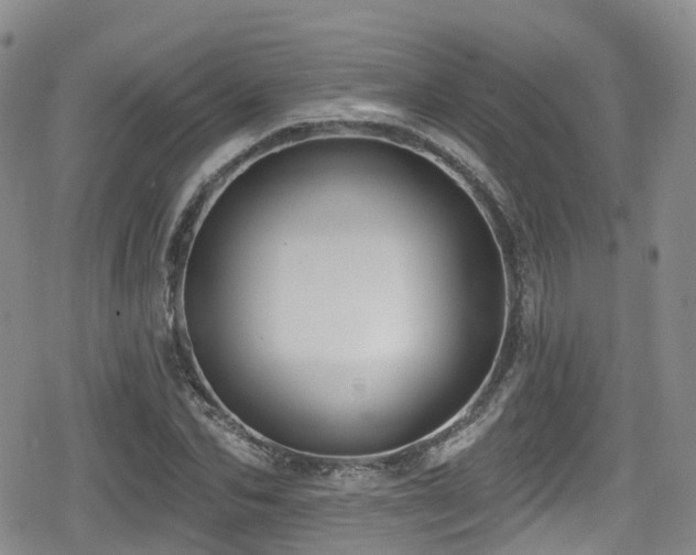 X0000080200974200612081423