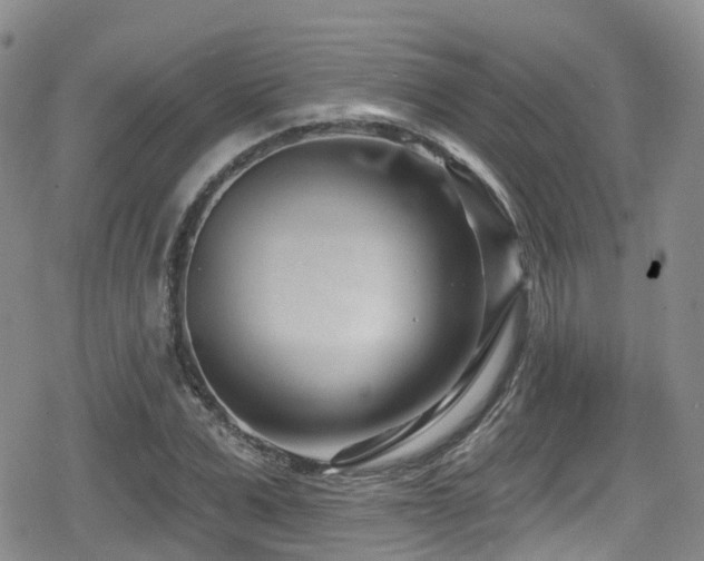 X0000080200975200612081423