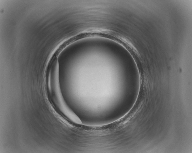 X0000080200976200612081423