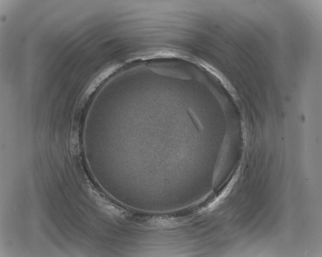 X0000080200977200612081423