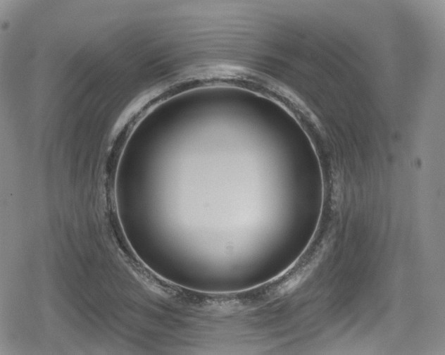 X0000080200978200612081423