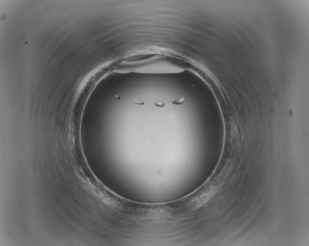 X0000080200979200612081423