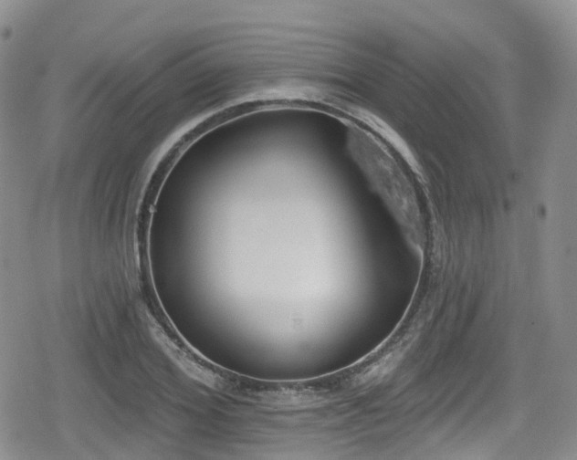 X0000080200980200612081423