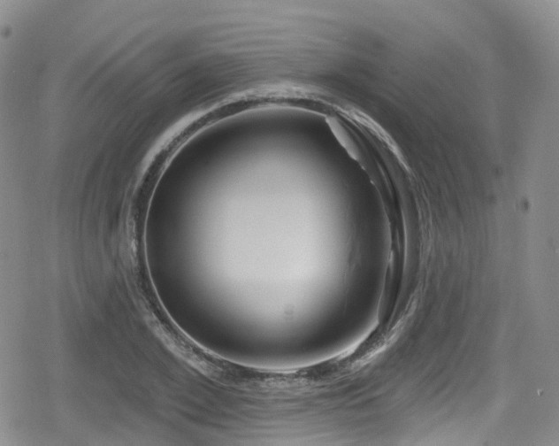 X0000080200981200612081423