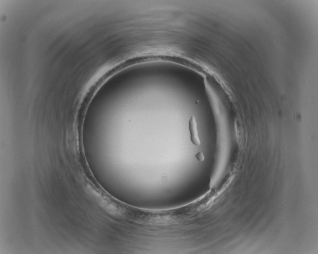 X0000080200982200612081423