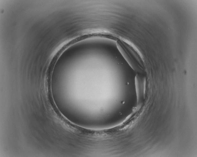 X0000080200983200612081423