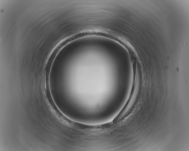 X0000080200984200612081423