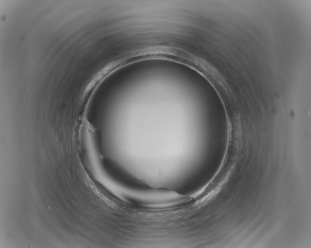 X0000080200985200612081423