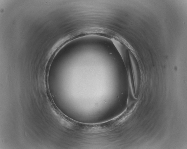 X0000080200986200612081423