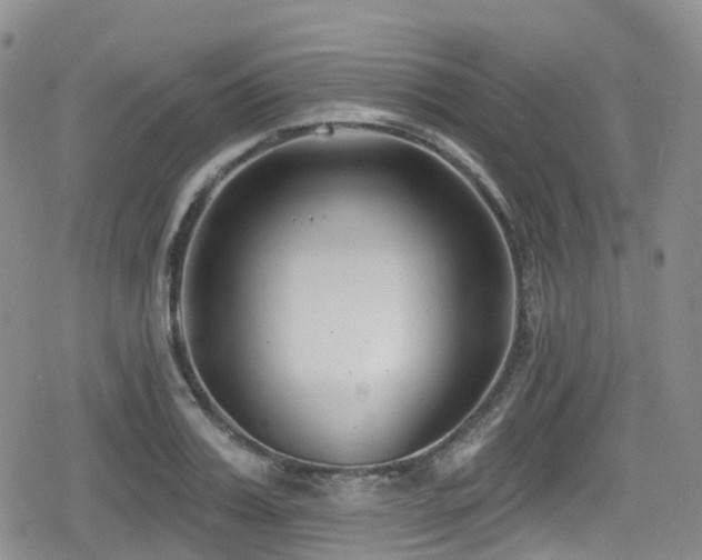 X0000080200987200612081423